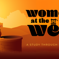 Logo for Women At The Well