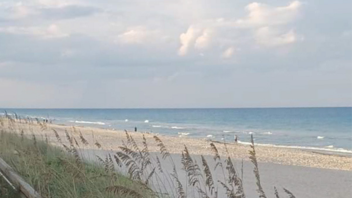Logo for Beach Walk Devotions