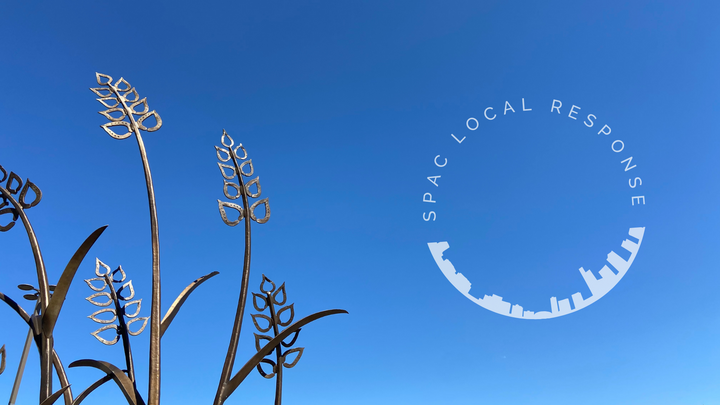 Logo for Local Response