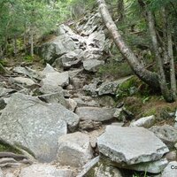 Logo for Advanced Hiking Group