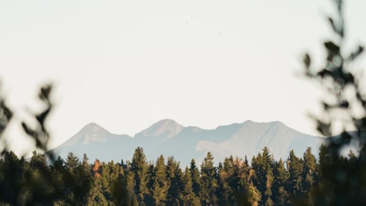 Logo for YA Pure Desire