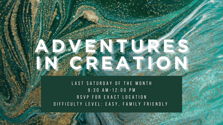 Adventures in Creation