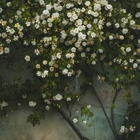 Logo for Co-Ed Life Group with Tom and Sondra Patterson