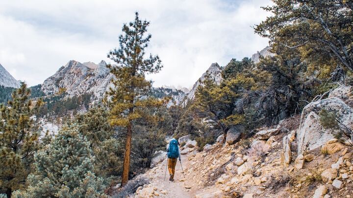 Logo for Hiking & Running | Men | Activity