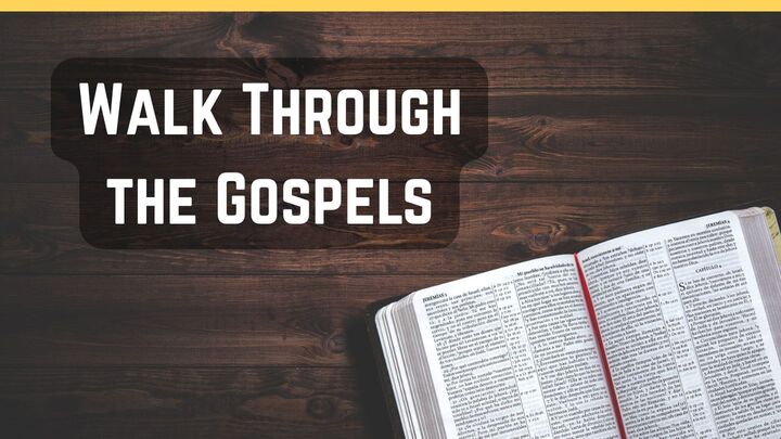 Logo for Walk through the Gospels