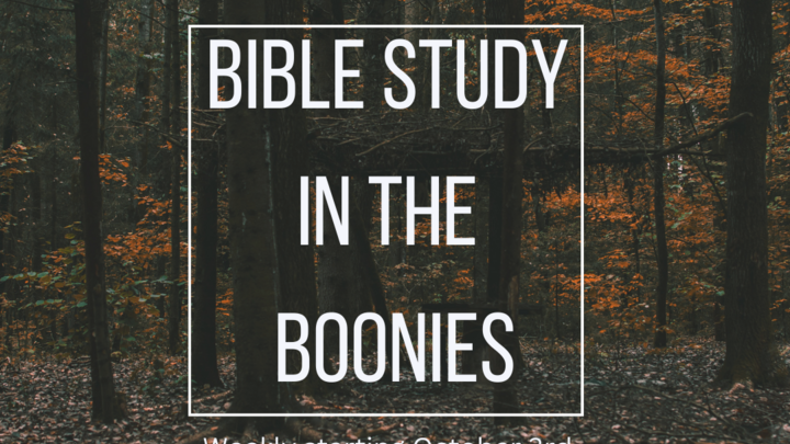 Logo for Bible in the Boonies