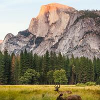 Logo for Men with Elliott Hays