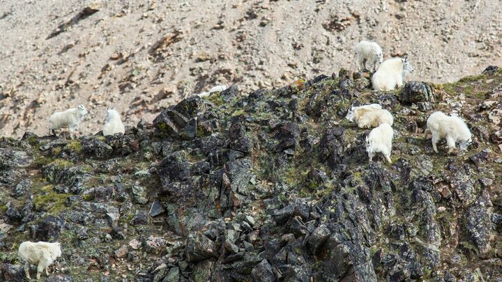 Logo for The Men's Bible Study