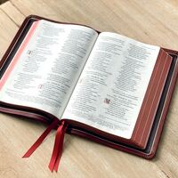 Logo for Men in the Word