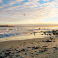 Logo for Beverly Farms Community Group