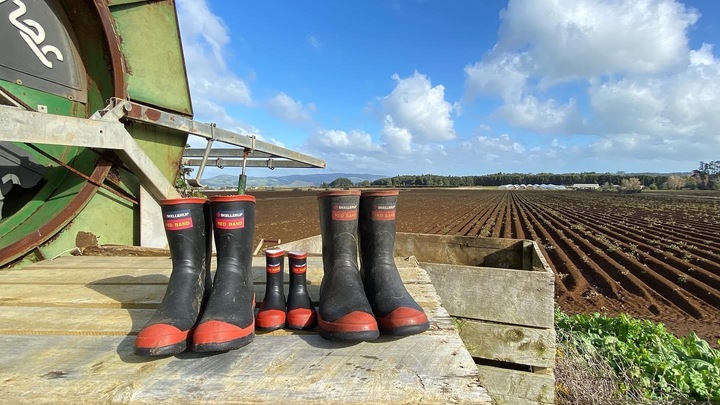 Logo for Lowe Connect