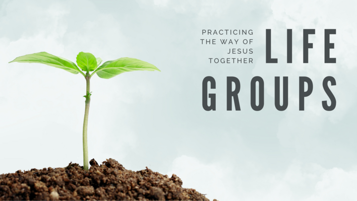 Logo for Williams | terSteege