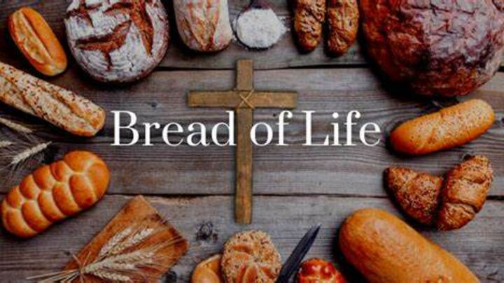 Logo for Bread of Life