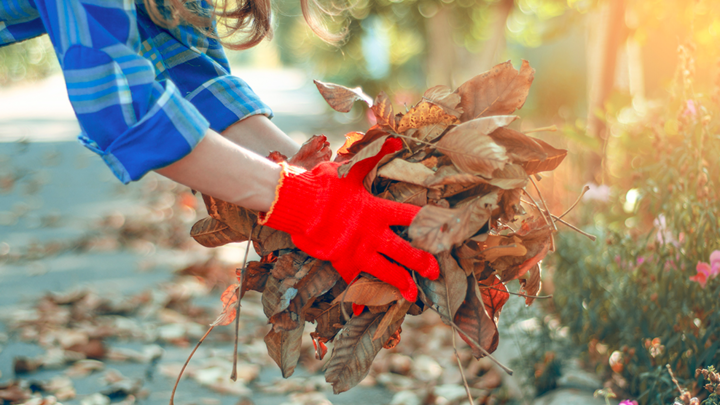 Logo for Green Thumb