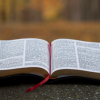 Logo for Men's Bible Study