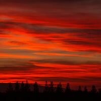 Logo for Monty Massee