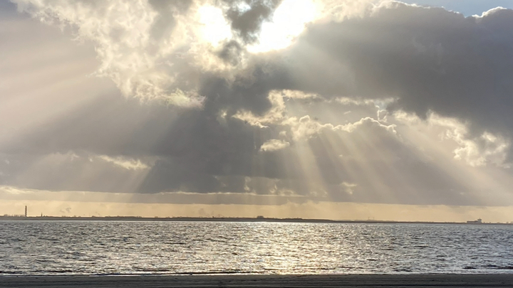 Logo for Wandelconnect | Marijke van den Berge