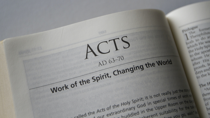 Logo for Coed - Kelly & McKinney