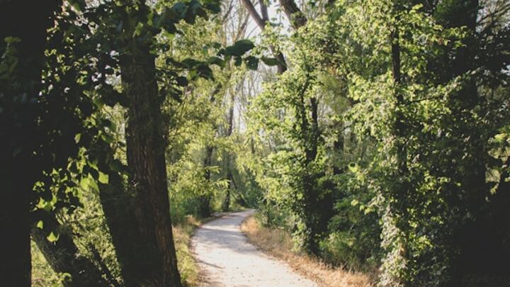 Logo for Langelaar/Verhagen