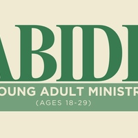 Logo for ABIDE: Young Adults