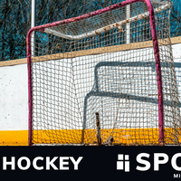 Logo for Ball Hockey