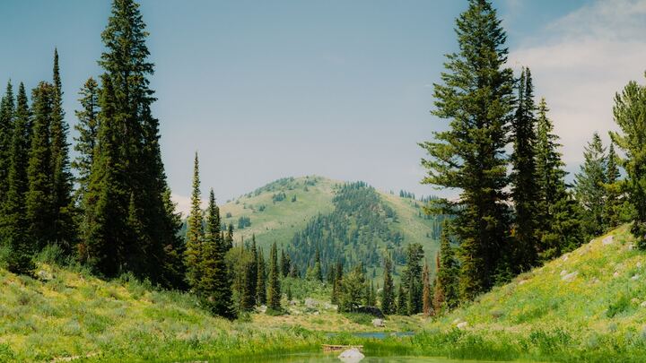 Logo for Eastland Small Group