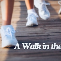 Logo for A Walk in the Park