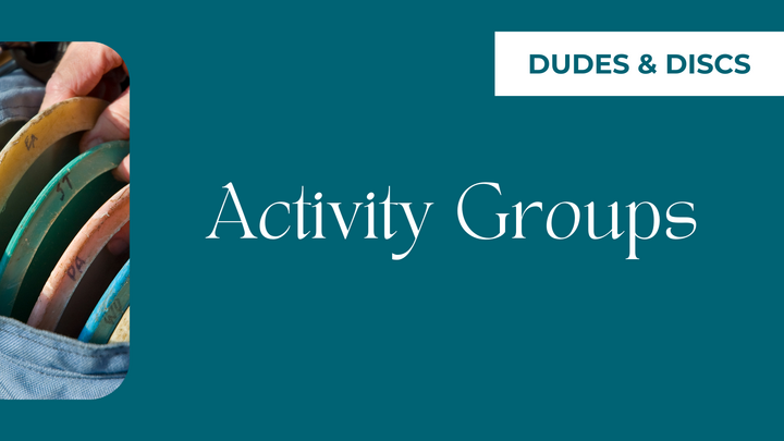 Logo for Dudes and Discs