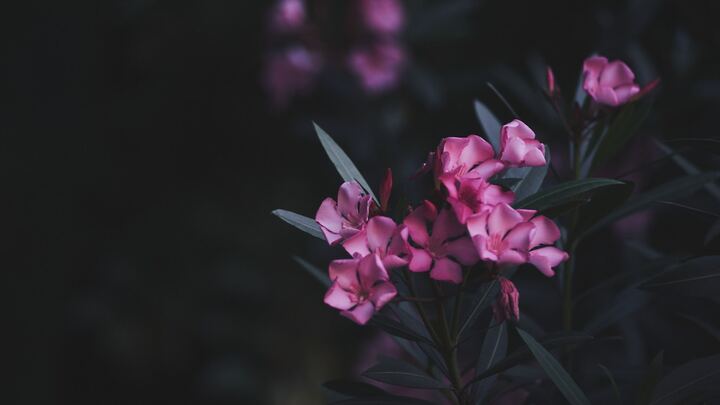 Logo for Trinity Women