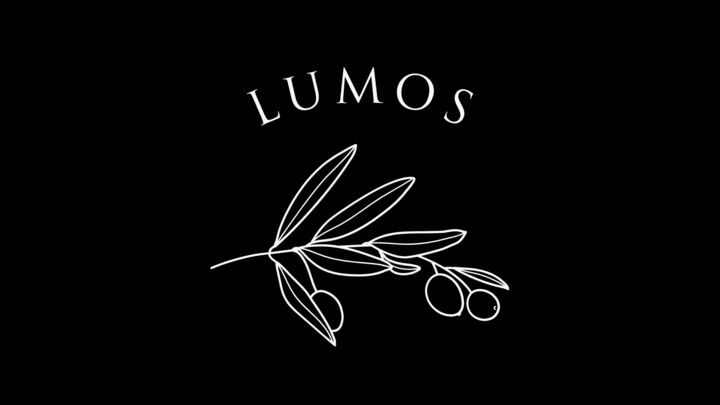 Logo for Lumos
