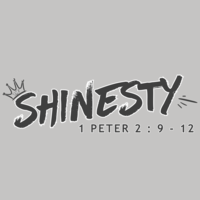 Logo for The Shinesty Serve Team