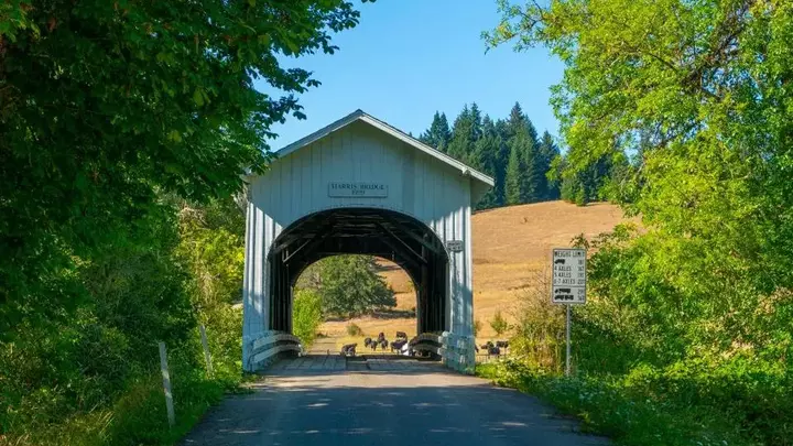 Logo for Philomath Community Group