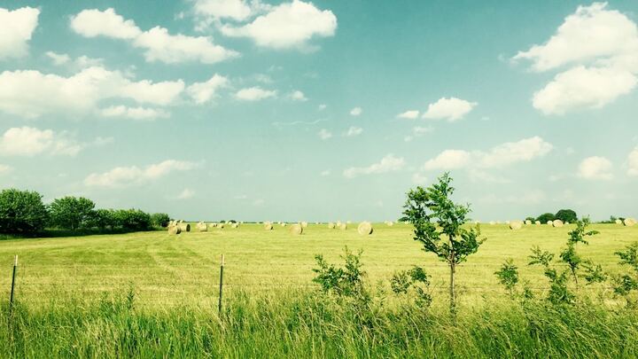 Logo for Missouri - Mountain Grove