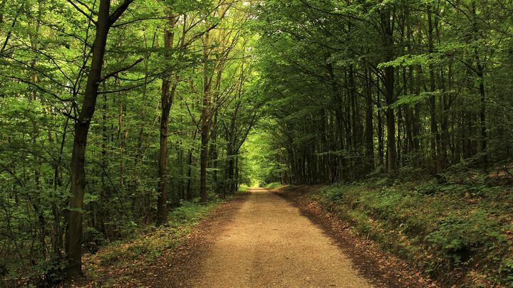 Logo for Seasoned Saints