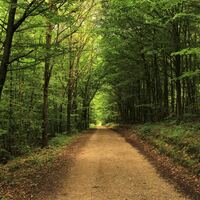 Logo for Seasoned Saints