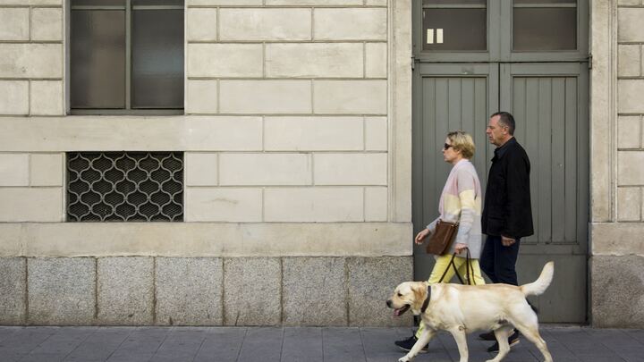 Logo for TC FreeBirds