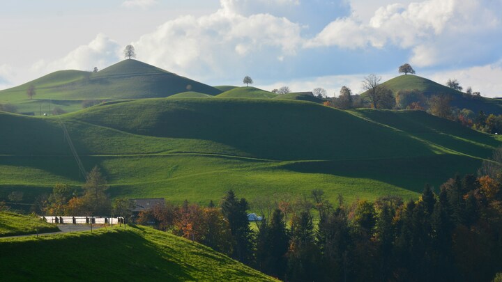 Logo for 260 Journey| 50s & 60s Single Women