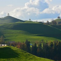 Logo for 260 Journey| 50s & 60s Single Women