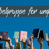 Logo for Ungdomsmøter