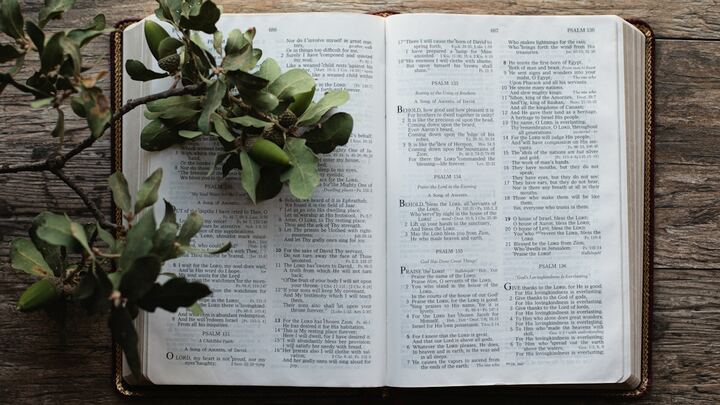 Logo for Delaney's Pathway Group