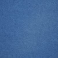 Logo for Unite Students: BLUE TEAM