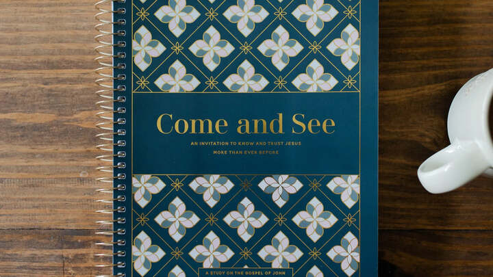 Logo for Come and See - Gospel of John (Cherrie Birman & Delanna Collins)