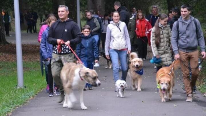 Logo for Dog Walking/Hiking Group