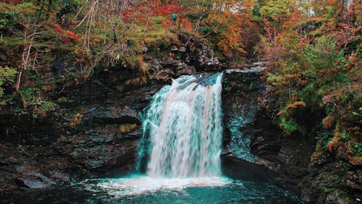 Logo for Preast and Smith Group