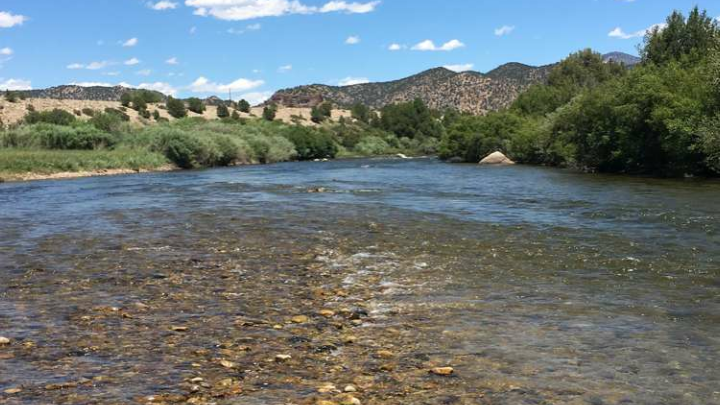 Logo for The Tom Byrd Gang