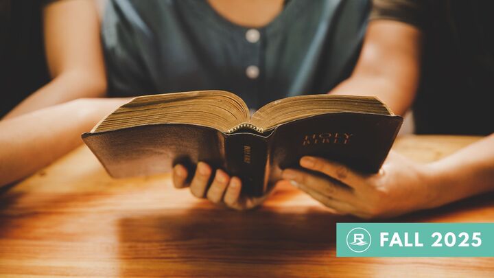 Logo for Adults | Ray Thomas Series | Mike Remley