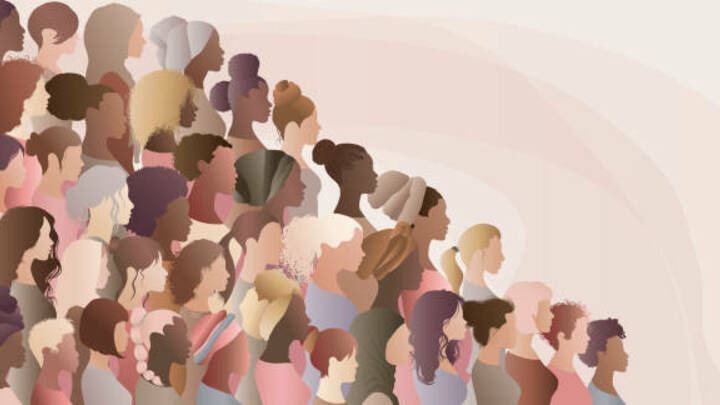 Logo for She Dimensions