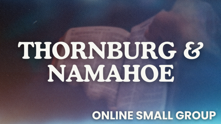 Logo for Thornburg & Namahoe Virtual SG