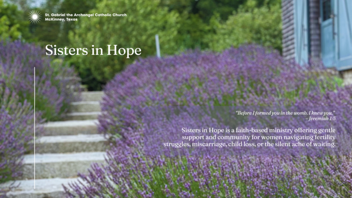 Logo for Sisters in Hope (Fertility, Miscarriage & Child Loss Support)