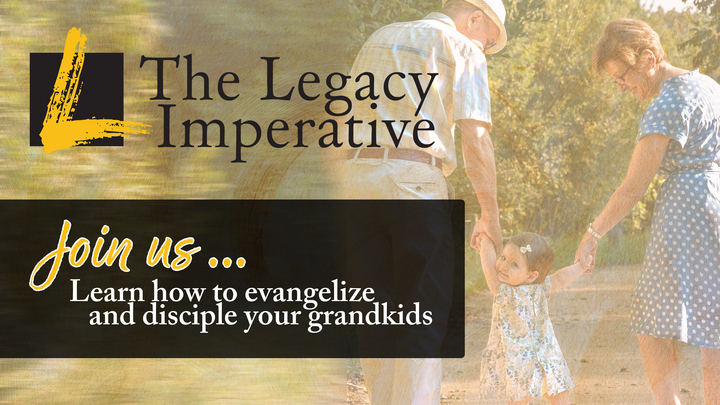 Logo for Legacy Imperative Group